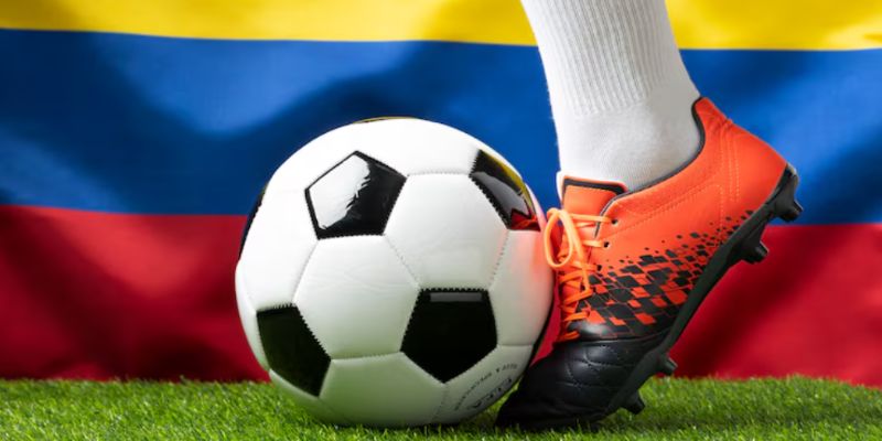 Theo dõi biến động tỷ lệ cược tăng khả năng thắng