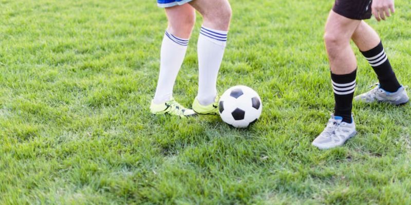 Kèo rung là gì với sự thay đổi odds chuẩn chỉnh