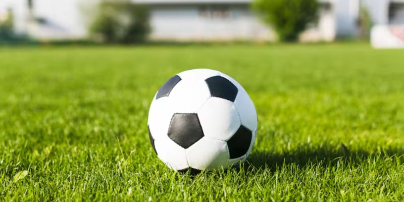 Công tính tính kèo rung là gì ăn bao nhiêu